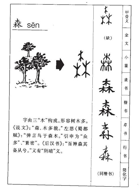 森 五行|森字的五行是什么,森的五行属性及吉利寓意